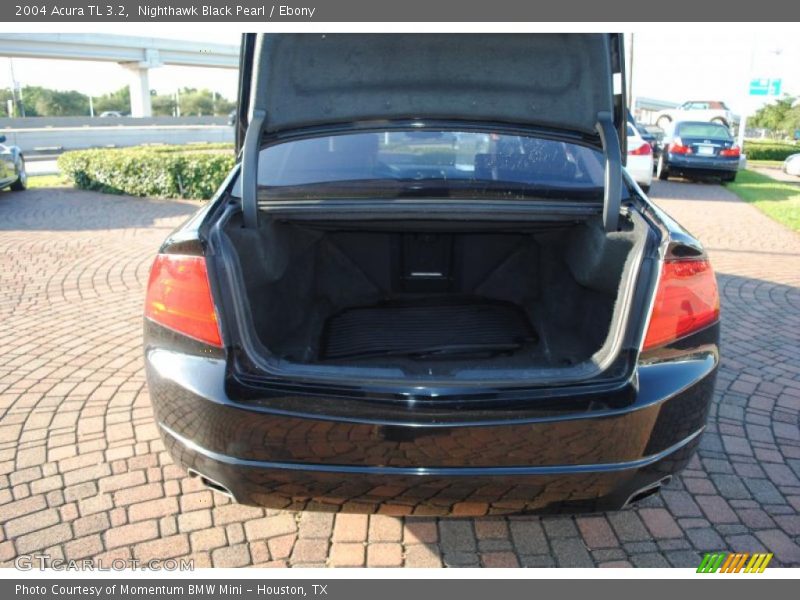 Nighthawk Black Pearl / Ebony 2004 Acura TL 3.2