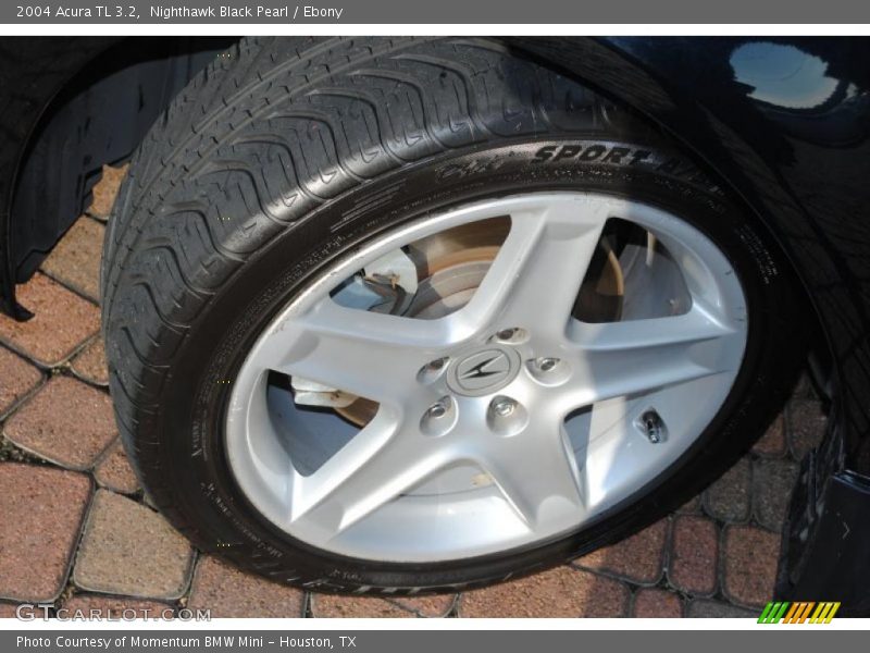 Nighthawk Black Pearl / Ebony 2004 Acura TL 3.2