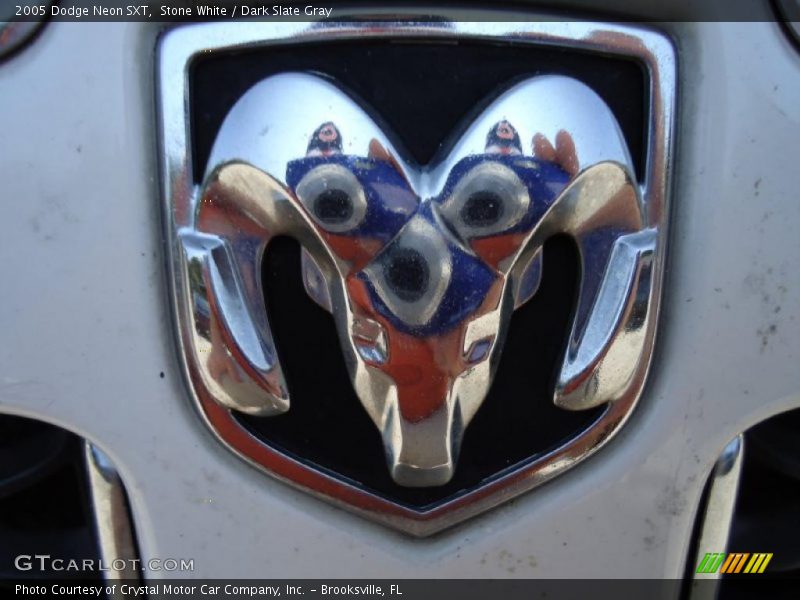 Stone White / Dark Slate Gray 2005 Dodge Neon SXT