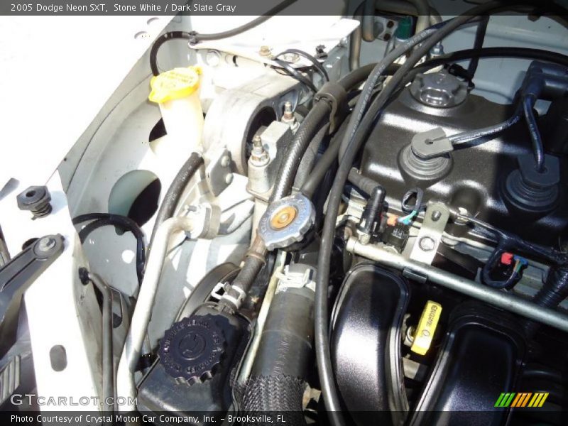 Stone White / Dark Slate Gray 2005 Dodge Neon SXT