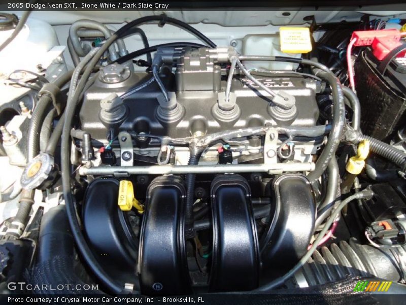 Stone White / Dark Slate Gray 2005 Dodge Neon SXT