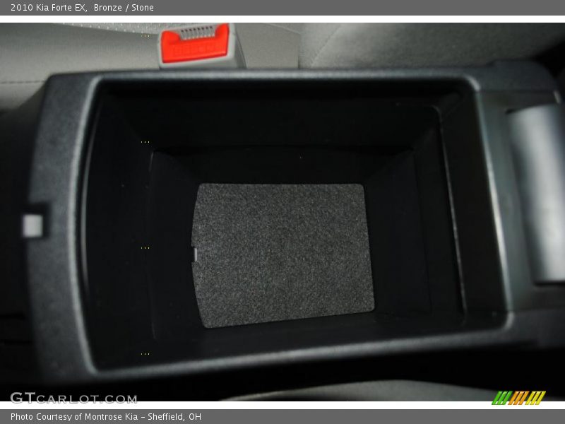 Bronze / Stone 2010 Kia Forte EX