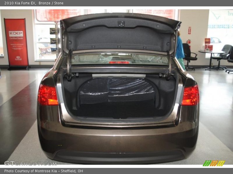 Bronze / Stone 2010 Kia Forte EX