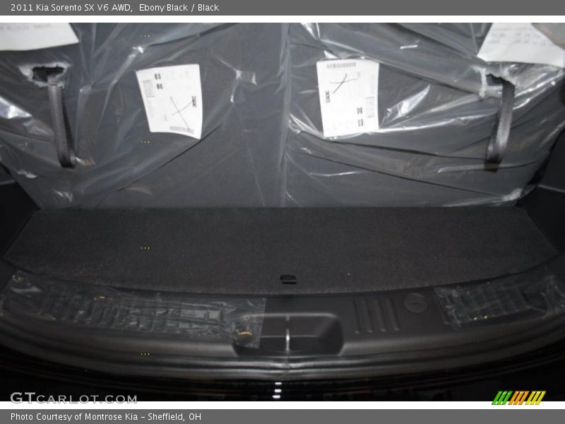 Ebony Black / Black 2011 Kia Sorento SX V6 AWD