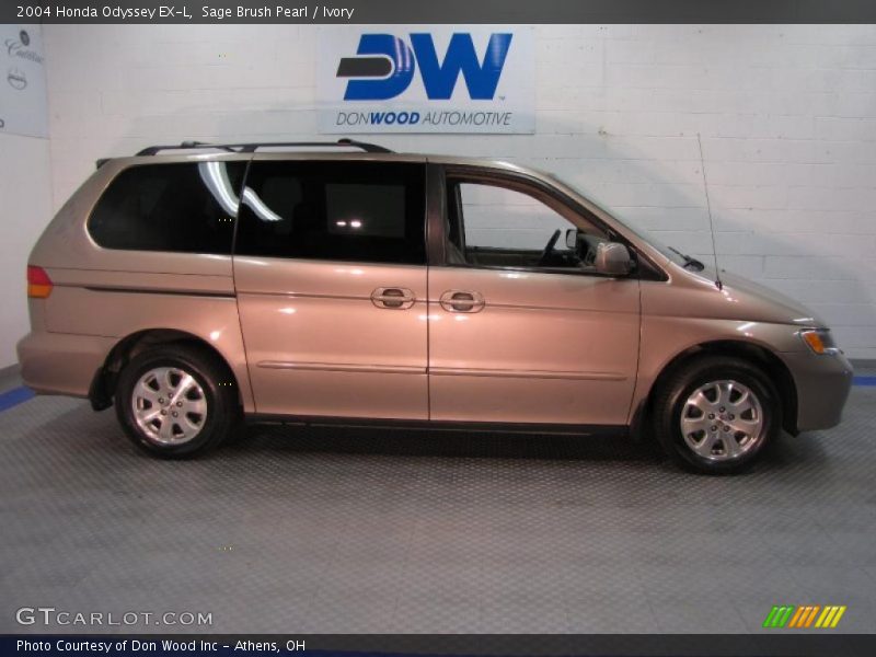 Sage Brush Pearl / Ivory 2004 Honda Odyssey EX-L