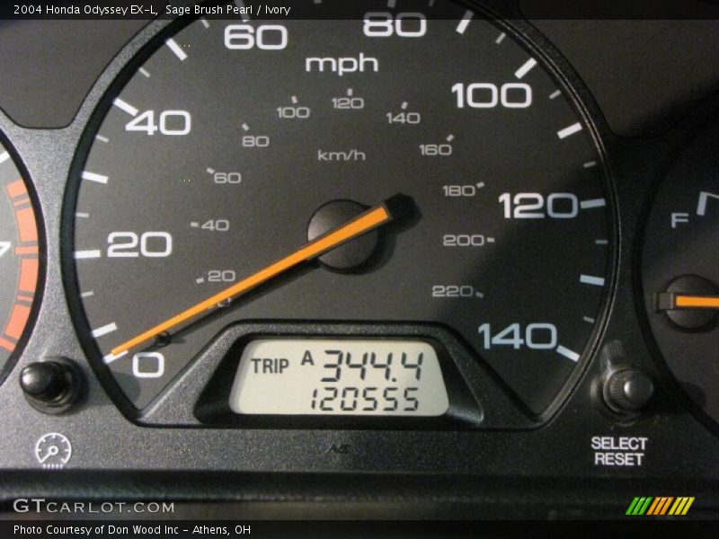 Sage Brush Pearl / Ivory 2004 Honda Odyssey EX-L