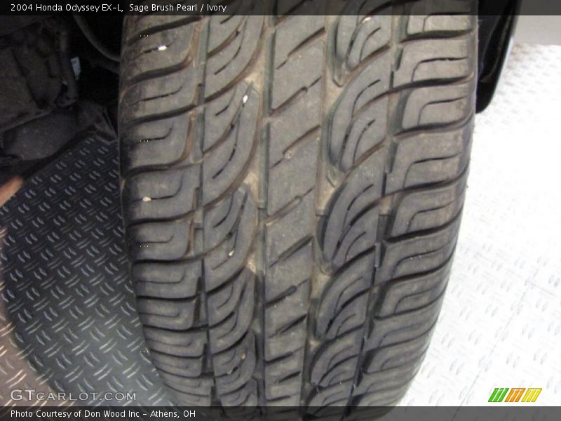 Sage Brush Pearl / Ivory 2004 Honda Odyssey EX-L