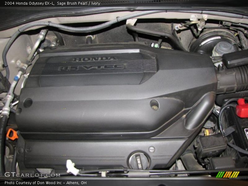 Sage Brush Pearl / Ivory 2004 Honda Odyssey EX-L