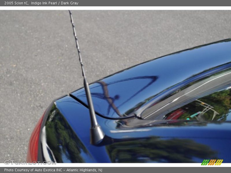 Indigo Ink Pearl / Dark Gray 2005 Scion tC