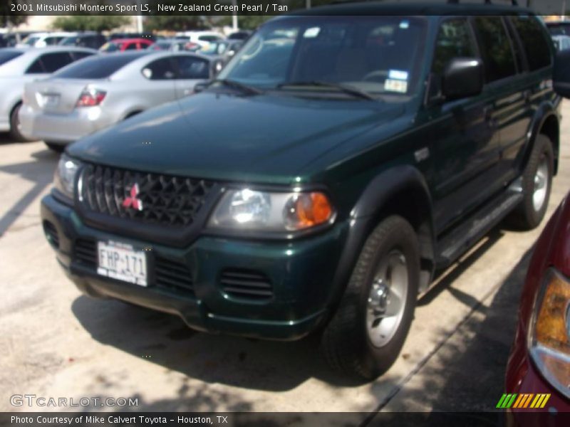 New Zealand Green Pearl / Tan 2001 Mitsubishi Montero Sport LS