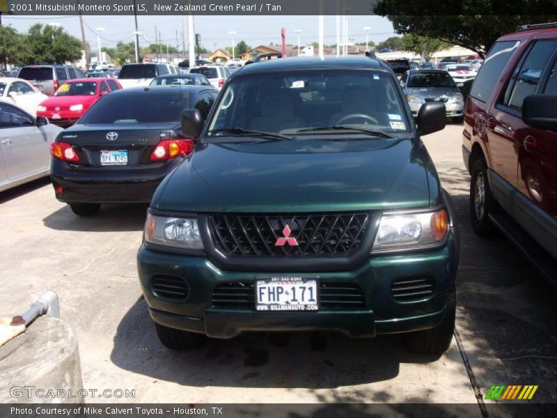 New Zealand Green Pearl / Tan 2001 Mitsubishi Montero Sport LS
