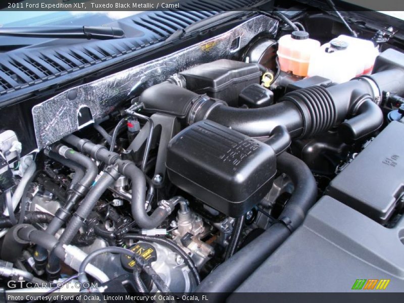 Tuxedo Black Metallic / Camel 2011 Ford Expedition XLT