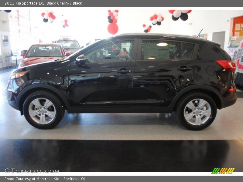 Black Cherry / Black 2011 Kia Sportage LX