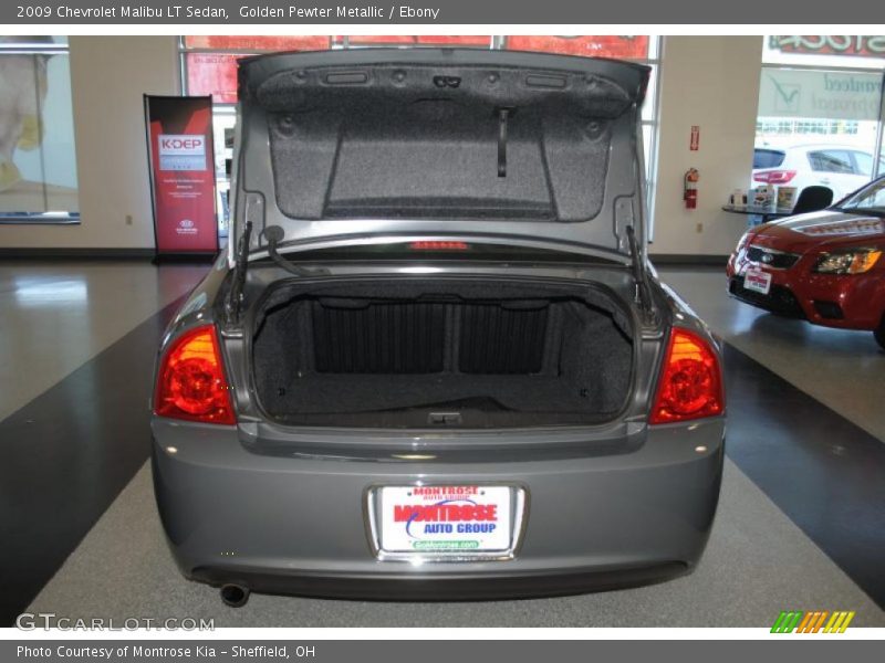 Golden Pewter Metallic / Ebony 2009 Chevrolet Malibu LT Sedan