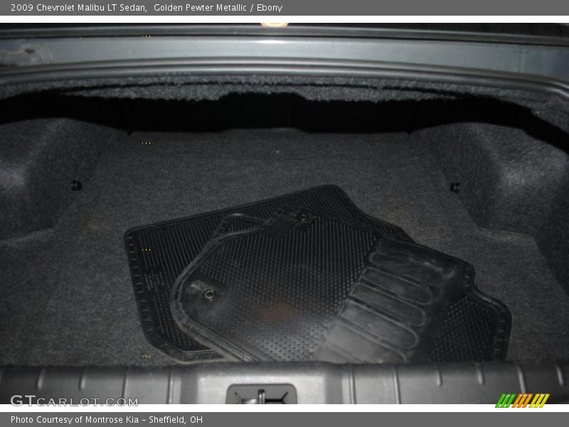 Golden Pewter Metallic / Ebony 2009 Chevrolet Malibu LT Sedan