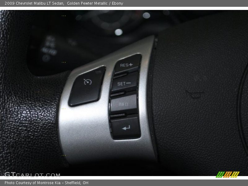 Golden Pewter Metallic / Ebony 2009 Chevrolet Malibu LT Sedan
