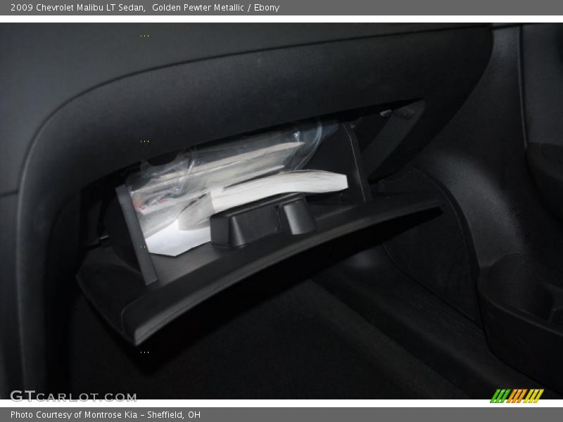 Golden Pewter Metallic / Ebony 2009 Chevrolet Malibu LT Sedan