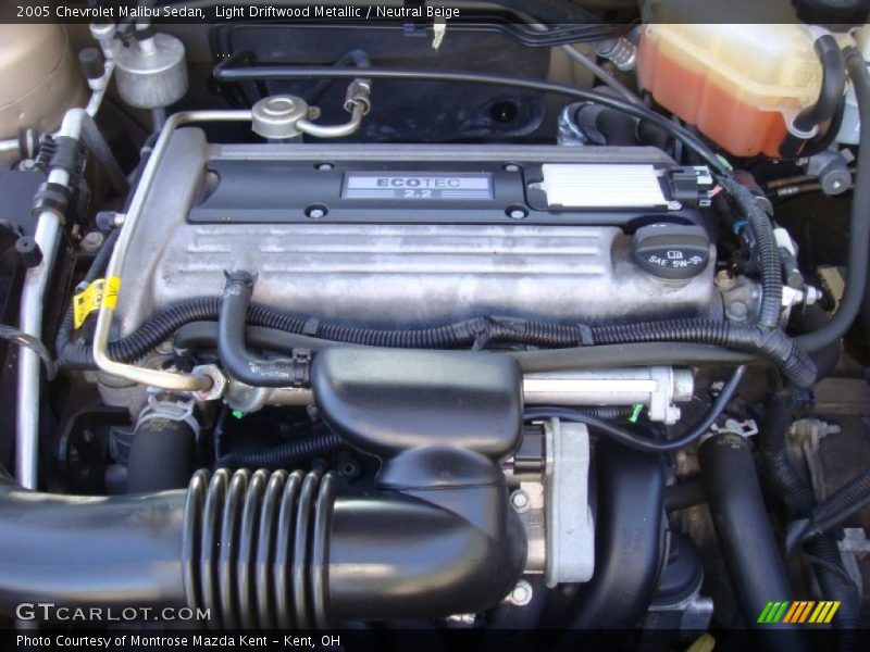 Light Driftwood Metallic / Neutral Beige 2005 Chevrolet Malibu Sedan