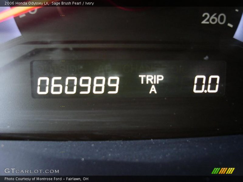 Sage Brush Pearl / Ivory 2006 Honda Odyssey LX