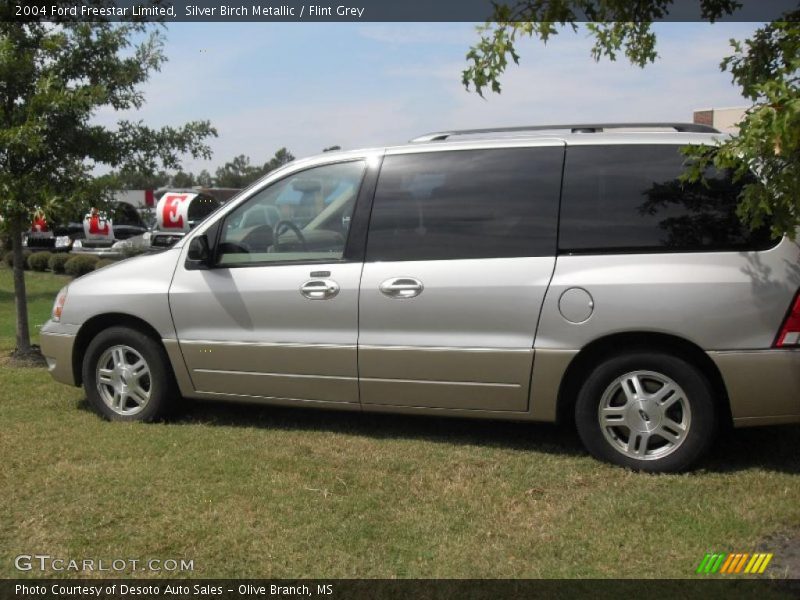 Silver Birch Metallic / Flint Grey 2004 Ford Freestar Limited