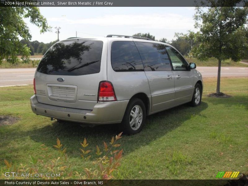 Silver Birch Metallic / Flint Grey 2004 Ford Freestar Limited