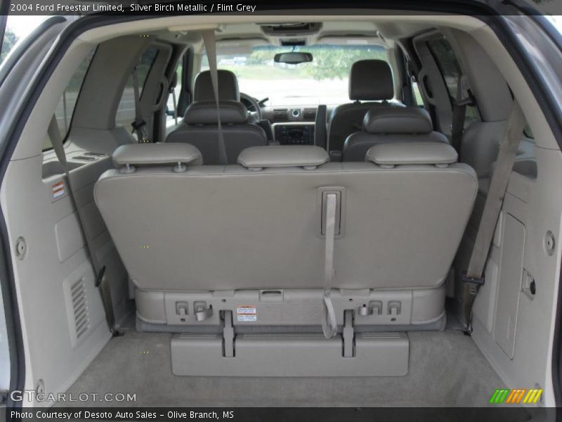 Silver Birch Metallic / Flint Grey 2004 Ford Freestar Limited