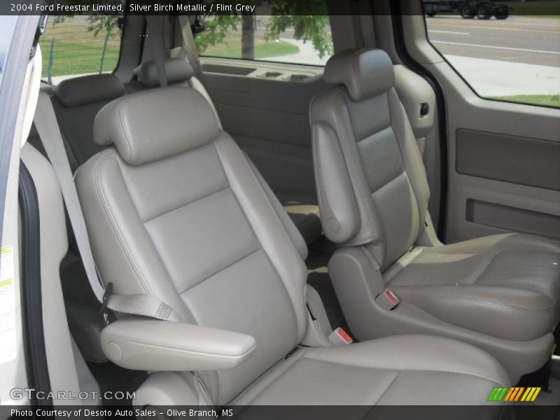 Silver Birch Metallic / Flint Grey 2004 Ford Freestar Limited