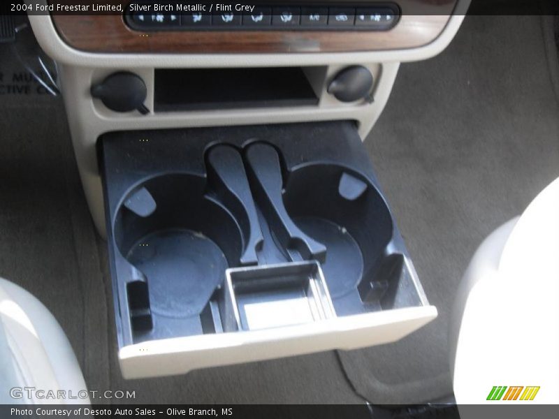 Silver Birch Metallic / Flint Grey 2004 Ford Freestar Limited