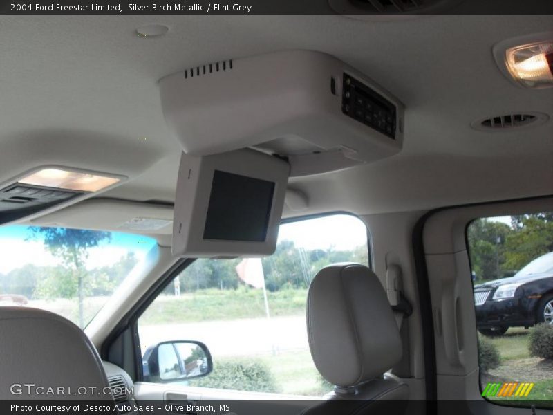 Silver Birch Metallic / Flint Grey 2004 Ford Freestar Limited