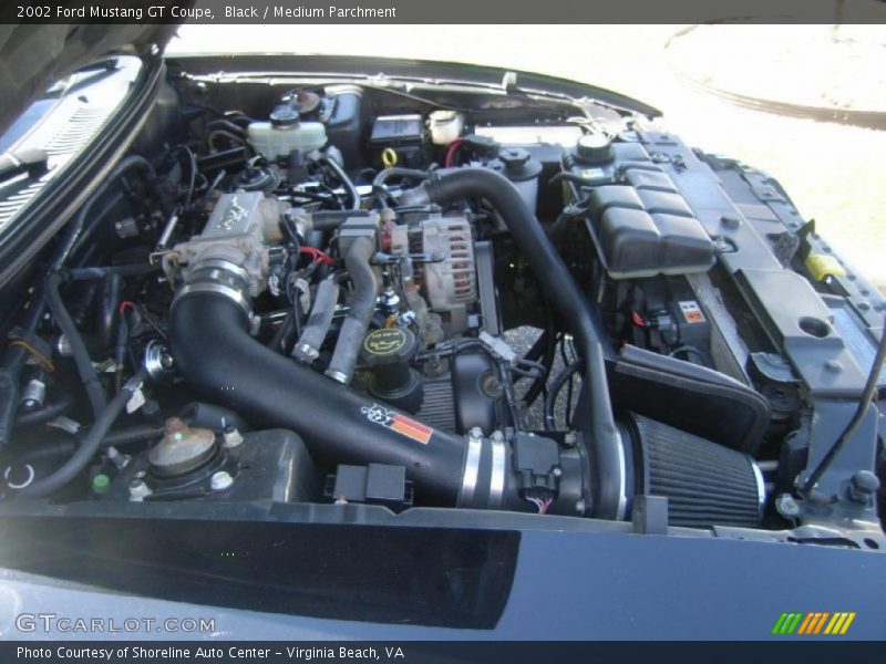 Black / Medium Parchment 2002 Ford Mustang GT Coupe