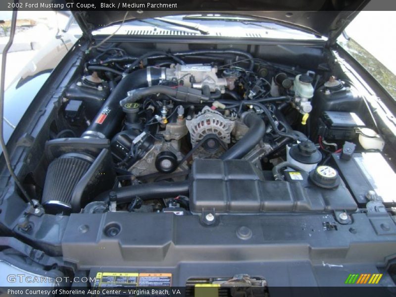 Black / Medium Parchment 2002 Ford Mustang GT Coupe