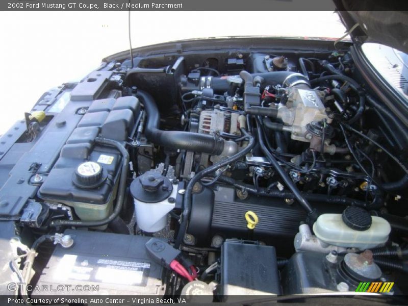Black / Medium Parchment 2002 Ford Mustang GT Coupe