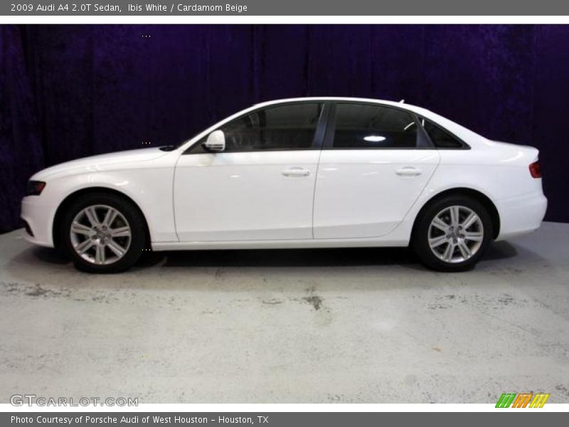 Ibis White / Cardamom Beige 2009 Audi A4 2.0T Sedan