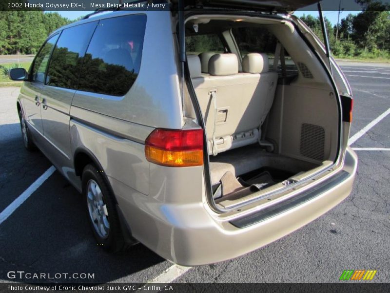Mesa Beige Metallic / Ivory 2002 Honda Odyssey EX-L