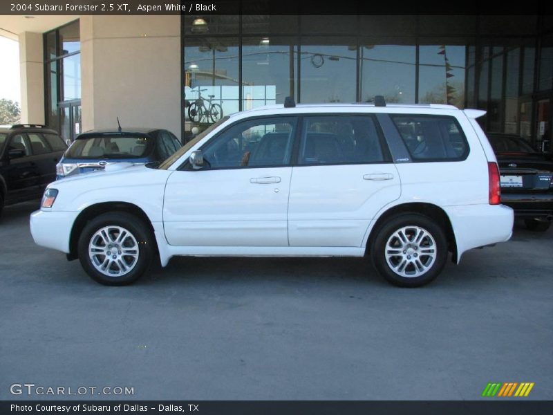 Aspen White / Black 2004 Subaru Forester 2.5 XT