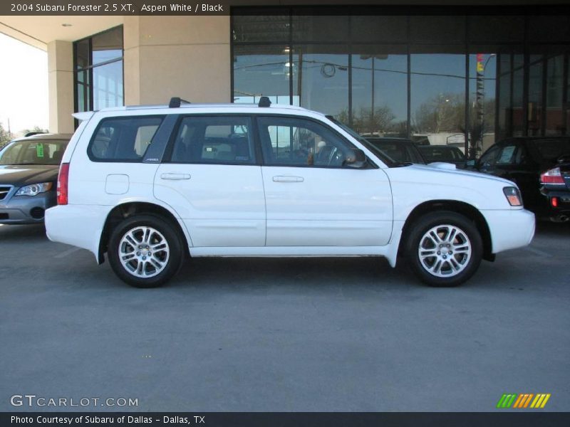 Aspen White / Black 2004 Subaru Forester 2.5 XT