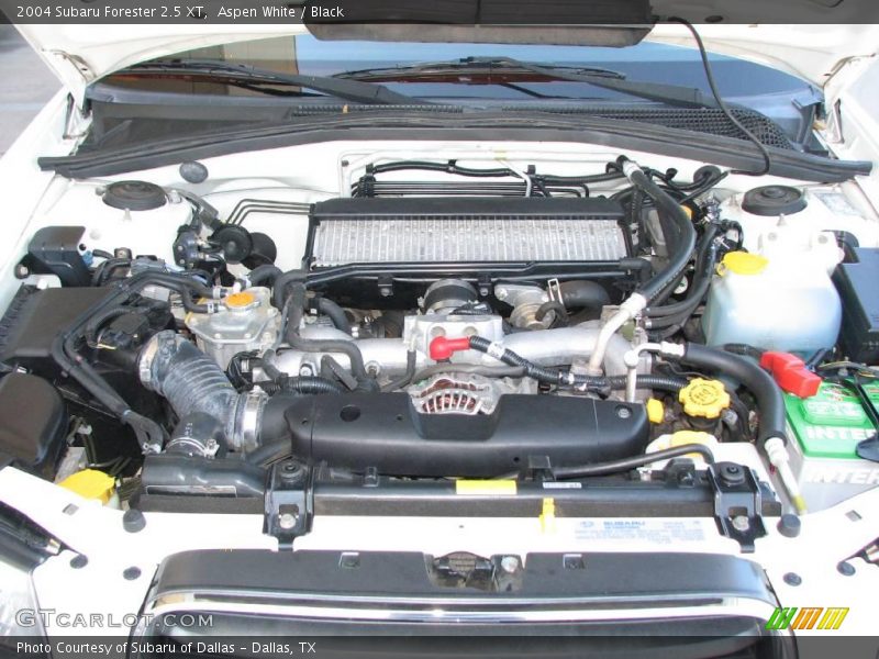 Aspen White / Black 2004 Subaru Forester 2.5 XT