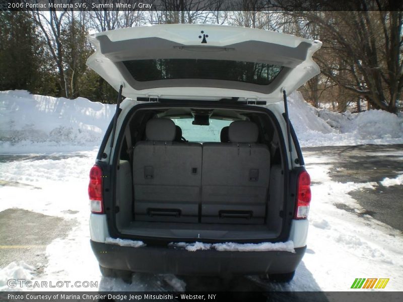 Summit White / Gray 2006 Pontiac Montana SV6