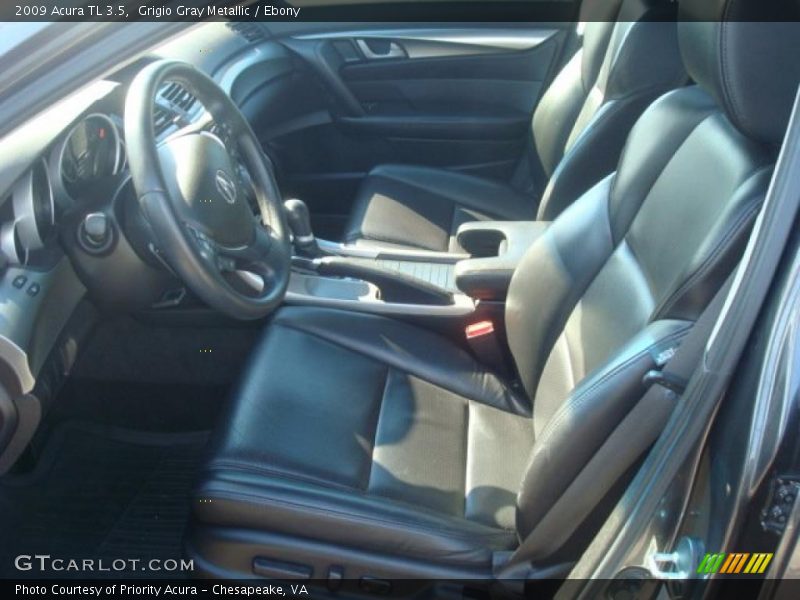 Grigio Gray Metallic / Ebony 2009 Acura TL 3.5