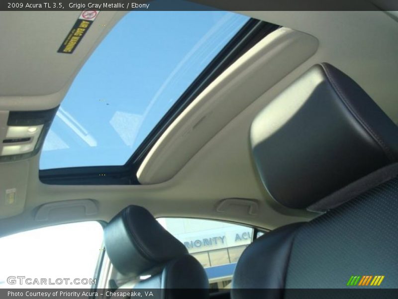 Grigio Gray Metallic / Ebony 2009 Acura TL 3.5
