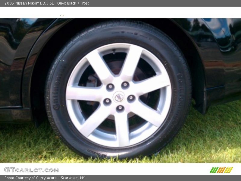 Onyx Black / Frost 2005 Nissan Maxima 3.5 SL