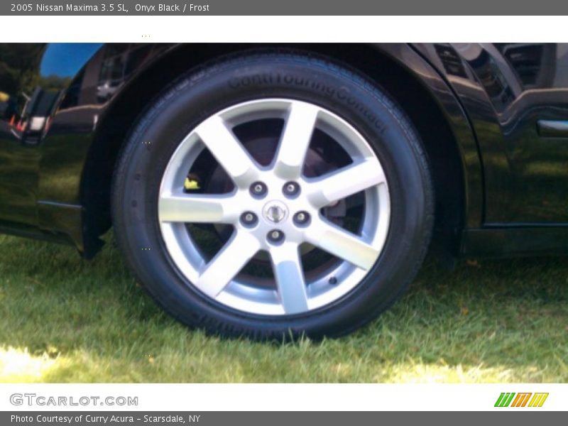 Onyx Black / Frost 2005 Nissan Maxima 3.5 SL