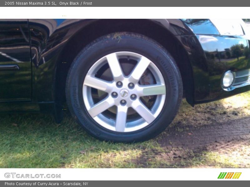 Onyx Black / Frost 2005 Nissan Maxima 3.5 SL