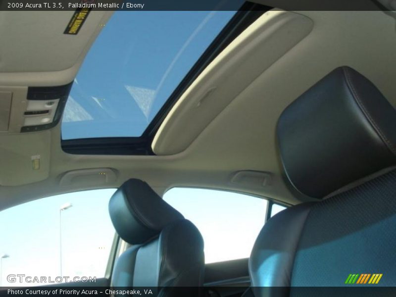 Palladium Metallic / Ebony 2009 Acura TL 3.5