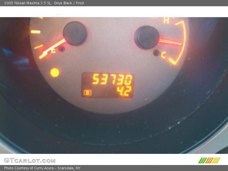 Onyx Black / Frost 2005 Nissan Maxima 3.5 SL