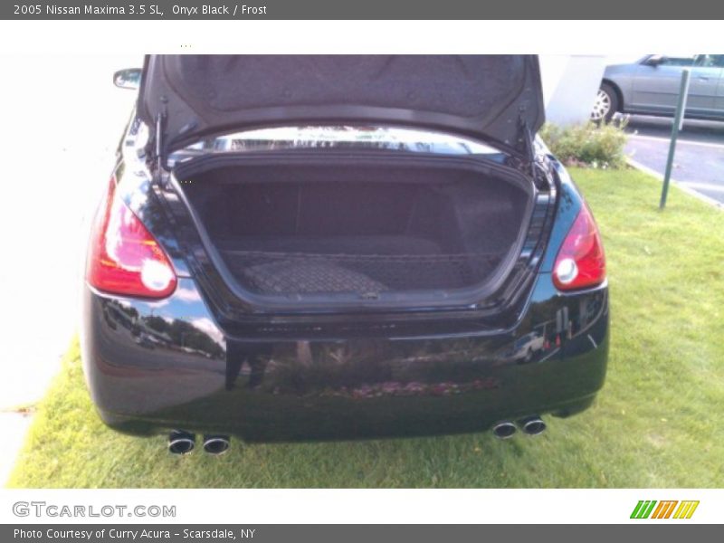 Onyx Black / Frost 2005 Nissan Maxima 3.5 SL