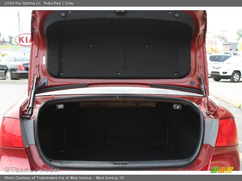 Ruby Red / Gray 2009 Kia Optima LX