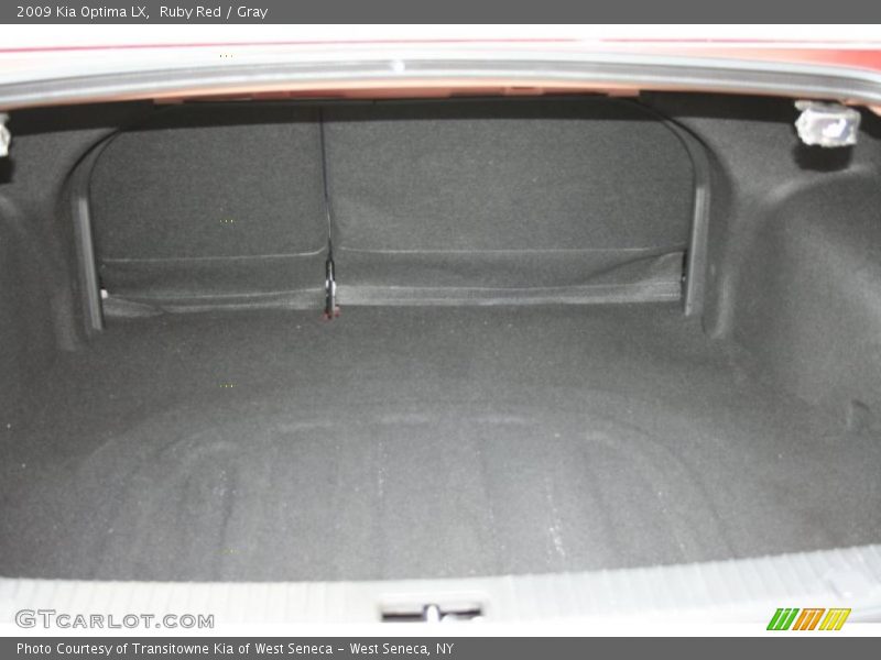 Ruby Red / Gray 2009 Kia Optima LX