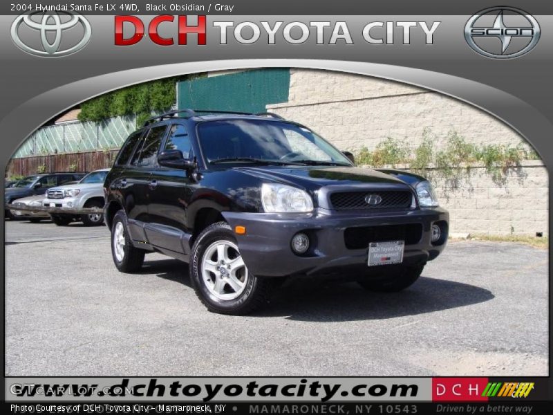 Black Obsidian / Gray 2004 Hyundai Santa Fe LX 4WD