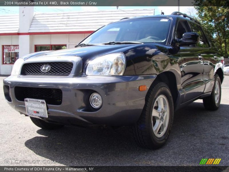 Black Obsidian / Gray 2004 Hyundai Santa Fe LX 4WD